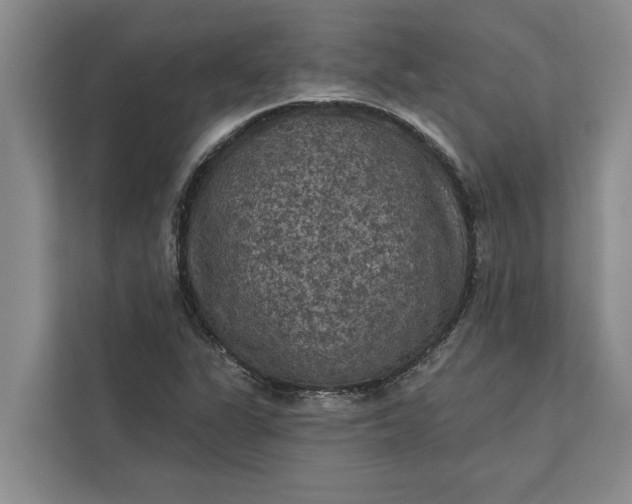 X0000112351311200908271225