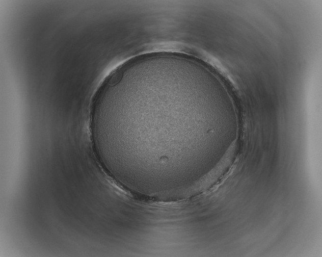 X0000112351312200908271225