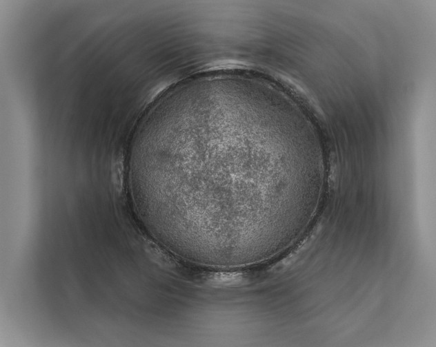 X0000112351313200908271225