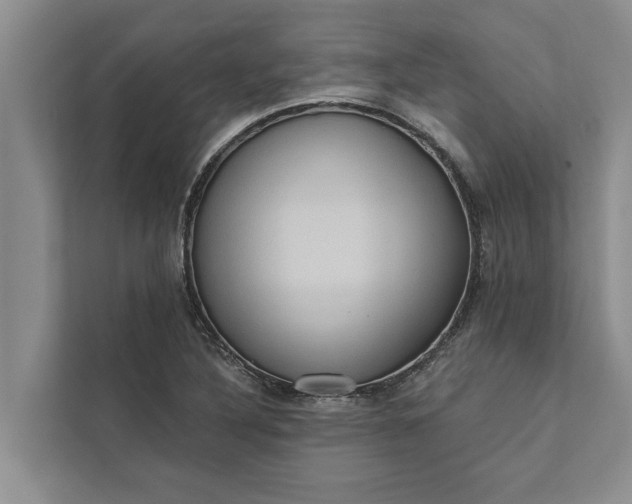 X0000112351316200908271225