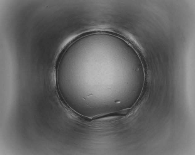 X0000112351320200908271225