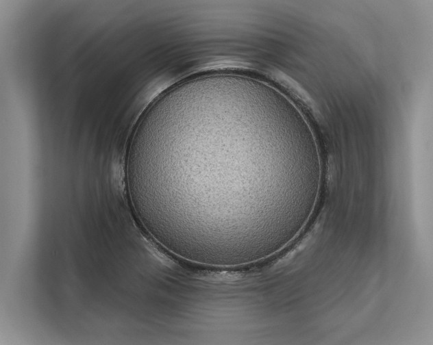 X0000112351321200908271225