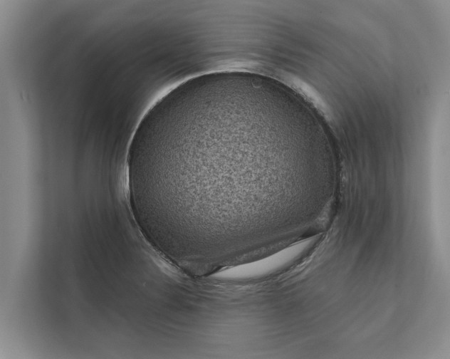 X0000112351324200908271225