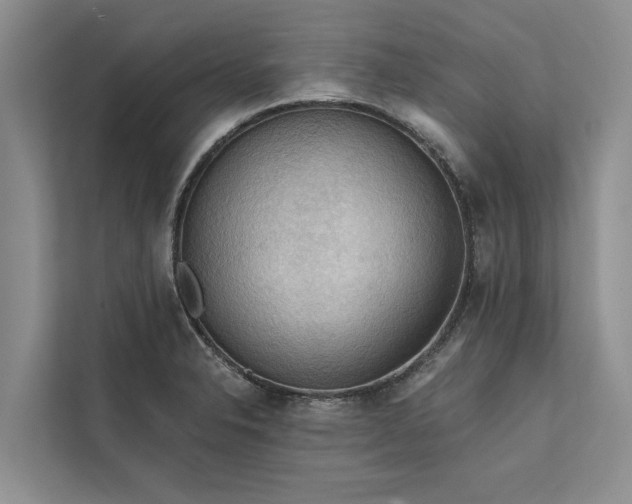 X0000112351326200908271225