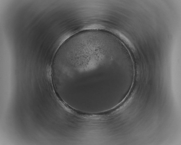 X0000112351329200908271225