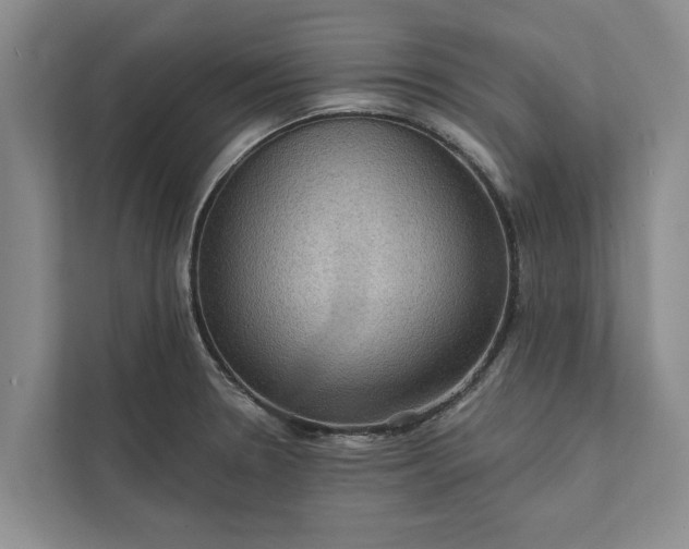 X0000112351330200908271225