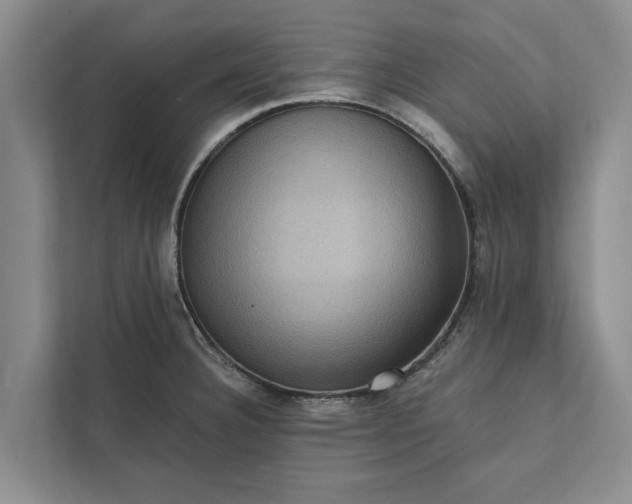 X0000112351332200908271225