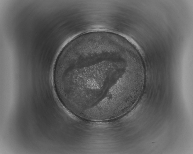 X0000112351333200908271225