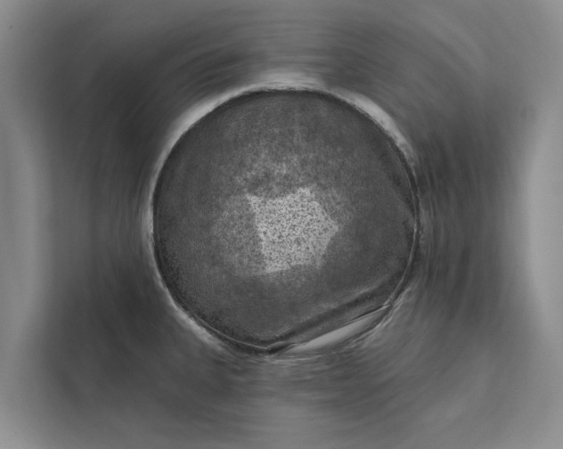 X0000112351335200908271225