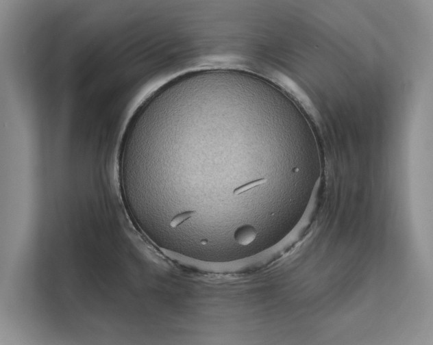 X0000112351336200908271225