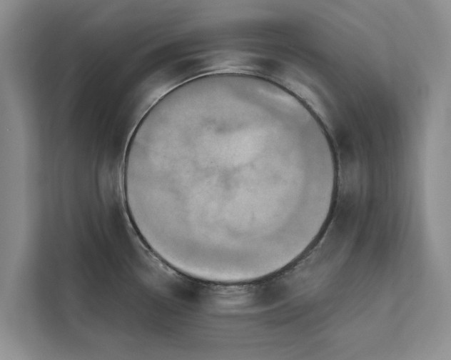 X0000112351338200908271225