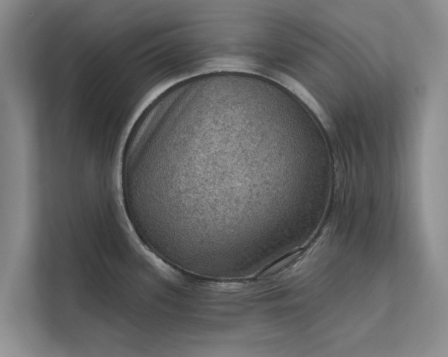 X0000112351339200908271225