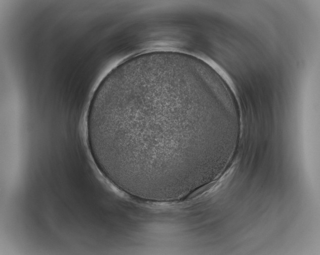 X0000112351341200908271225