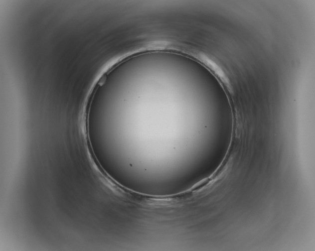 X0000112351342200908271225