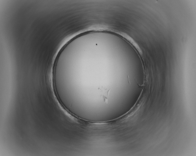 X0000112351343200908271225