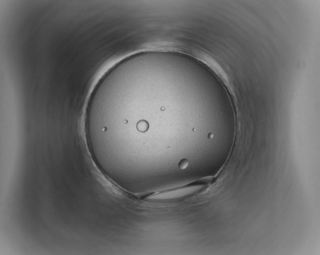 X0000112351344200908271225