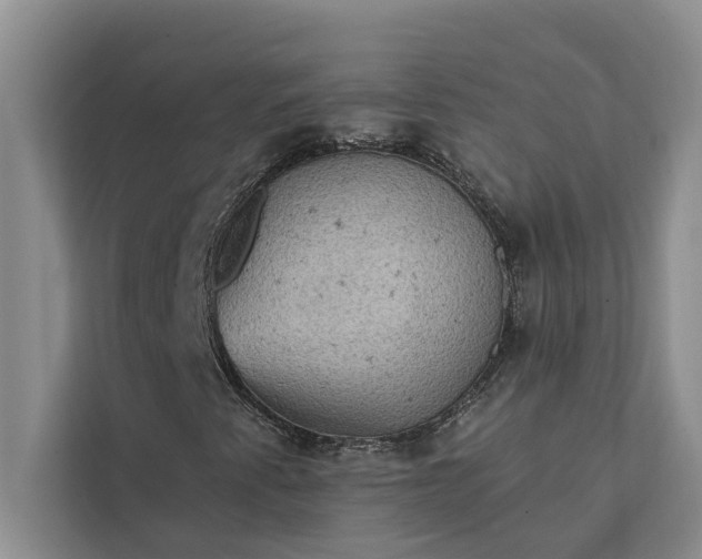 X0000112351345200908271225