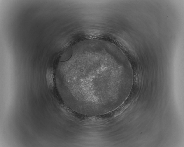 X0000112351346200908271225