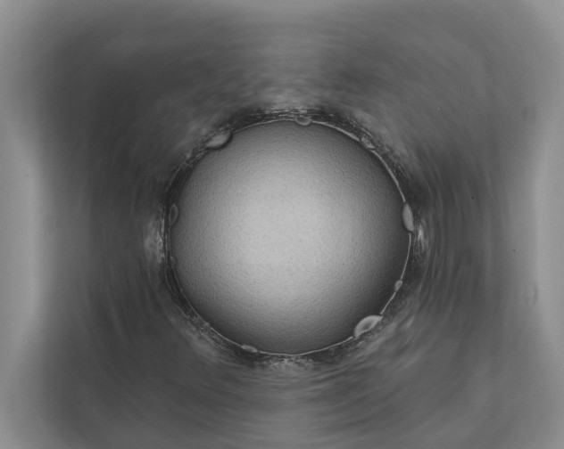 X0000112351348200908271225