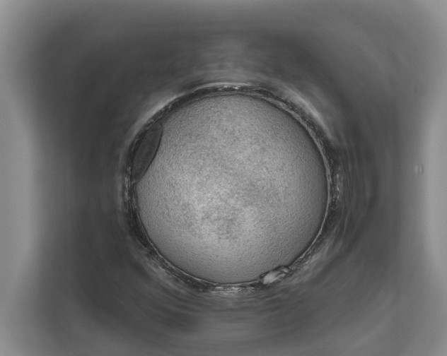 X0000112351352200908271224