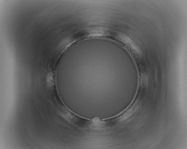 X0000112351353200908271224