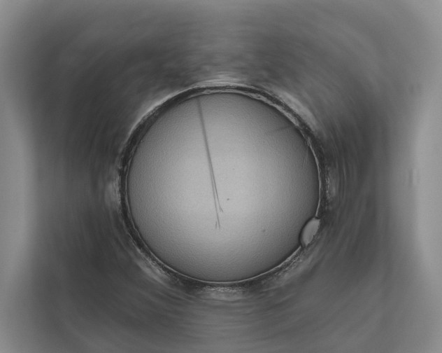 X0000112351356200908271224