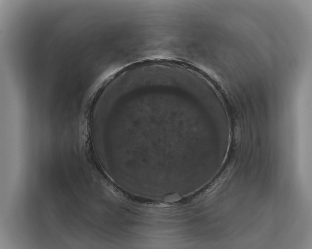 X0000112351359200908271224