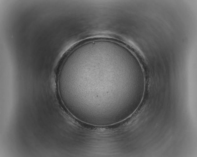 X0000112351360200908271224