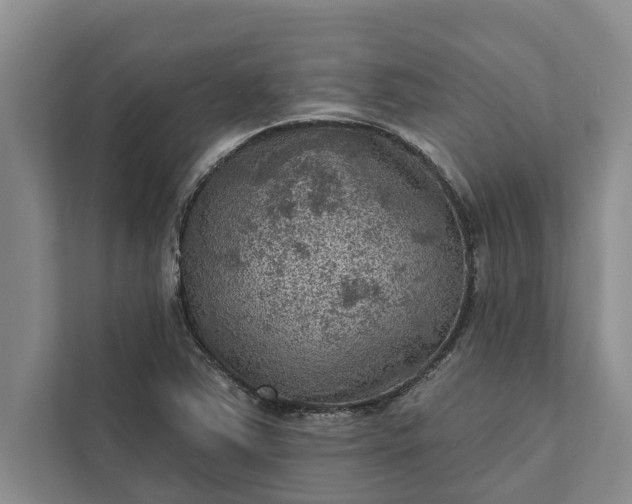 X0000112351363200908271224