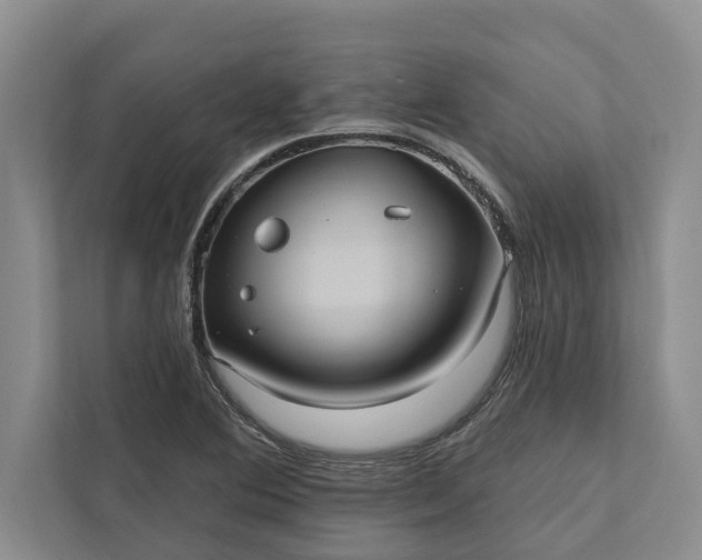 X0000112351364200908271224