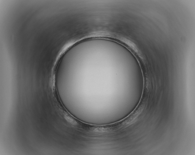 X0000112351366200908271224