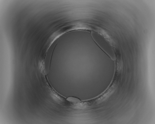 X0000112351369200908271224