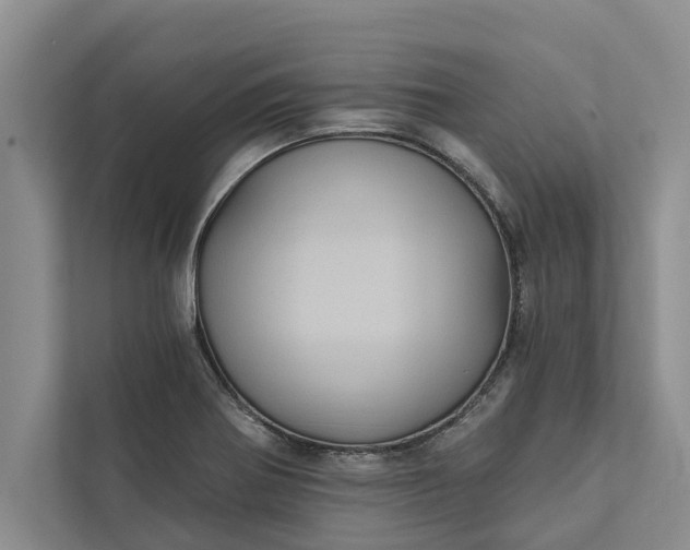X0000112351370200908271224