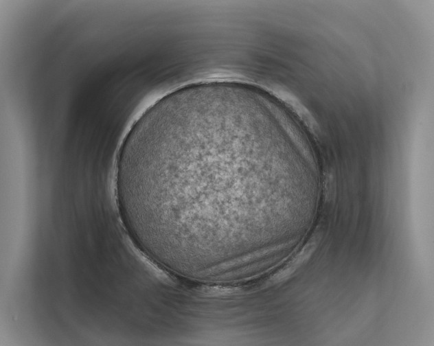 X0000112351374200908271224