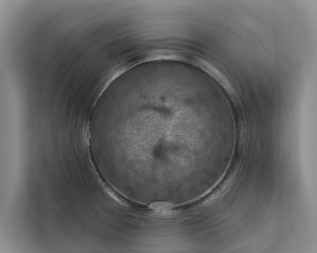 X0000112351377200908271224