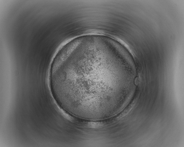 X0000112351379200908271224