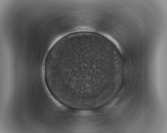 X0000112351383200908271224