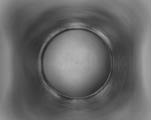 X0000112351384200908271224