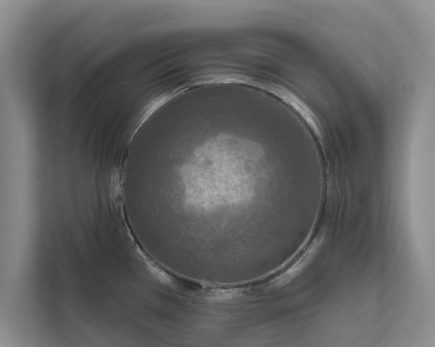 X0000112351385200908271224