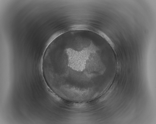 X0000112351386200908271224