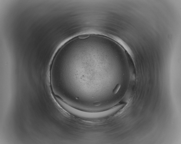 X0000112351388200908271224