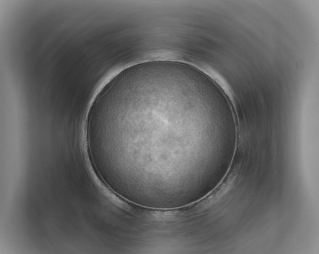 X0000112351389200908271224