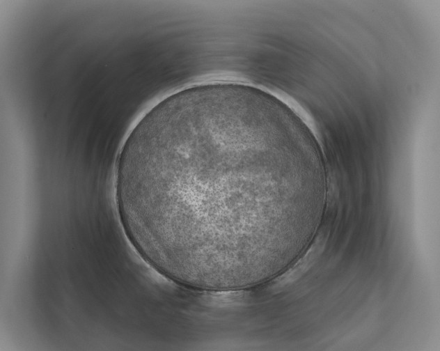 X0000112351390200908271224