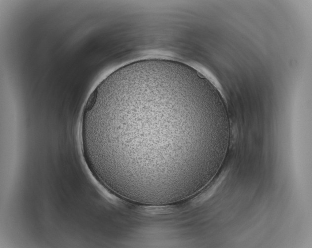 X0000112351391200908271224