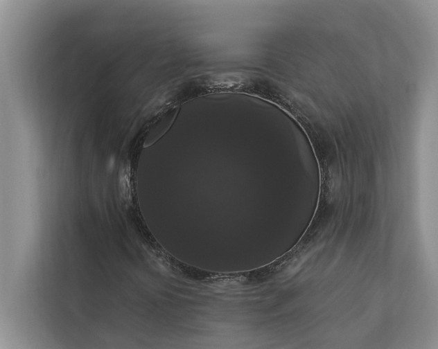 X0000112351394200908271223