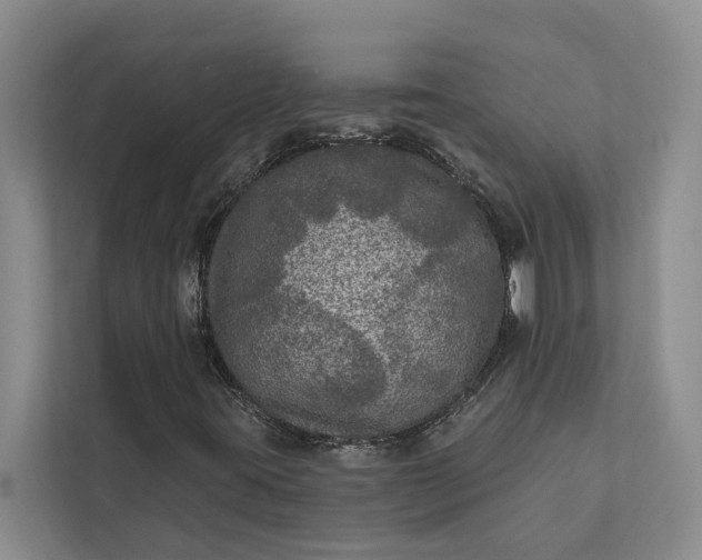 X0000112351395200908271223