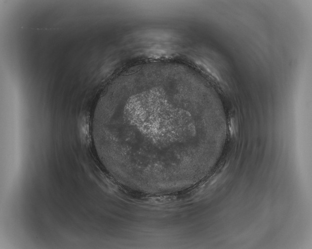 X0000112351396200908271223