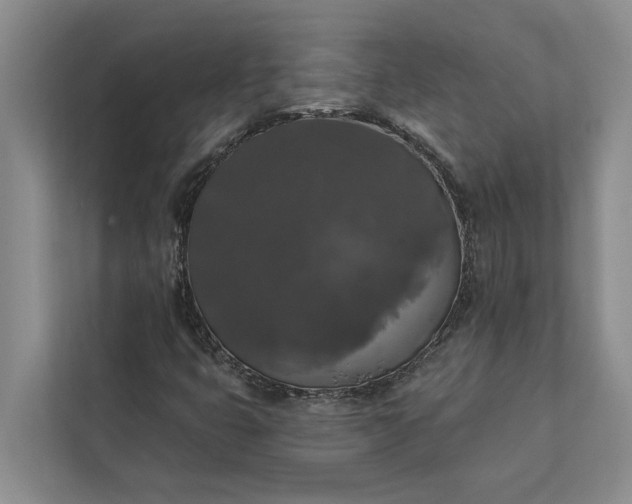 X0000112351399200908271223