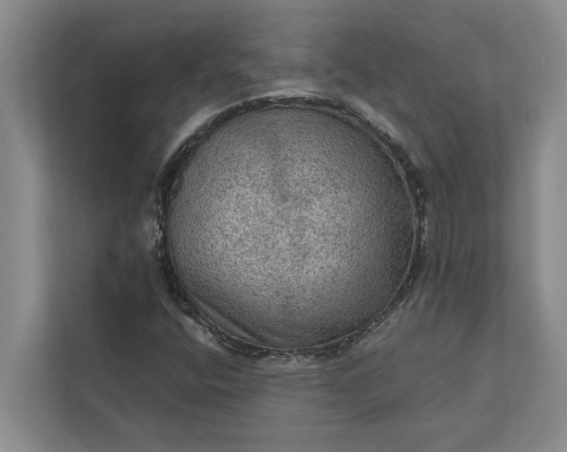 X0000112351400200908271223