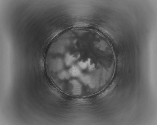 X0000112351401200908271223